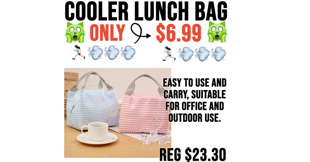 Cooler Lunch Bag Only $6.99 Shipped on Amazon (Regularly $23.30)